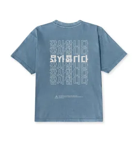HAVE A NICE DAY TEE (SLATE)